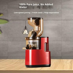 Slow-Juice Extractor